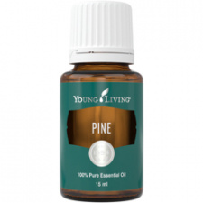 Pušis (Pine) eterinis aliejus YOUNG LIVING, 15 ml 